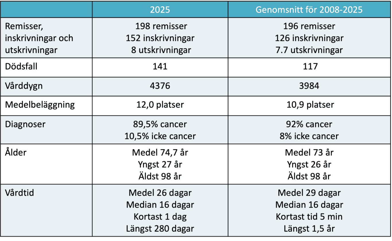 statistik mnh 2025
